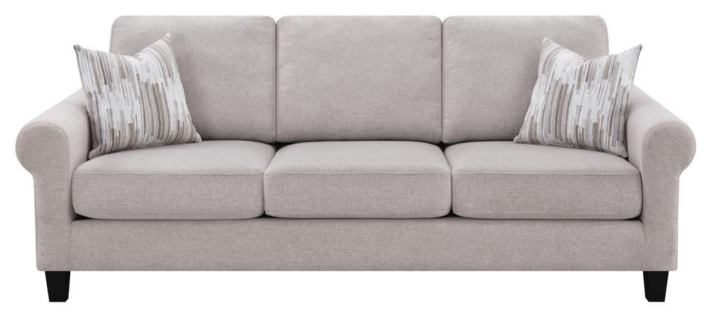 509781 SOFA image