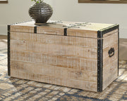 Dartland Storage Trunk image