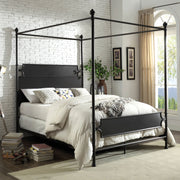 Beatrix Bronze Cal.King Bed image