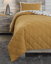 Cooperlen Twin Quilt Set image